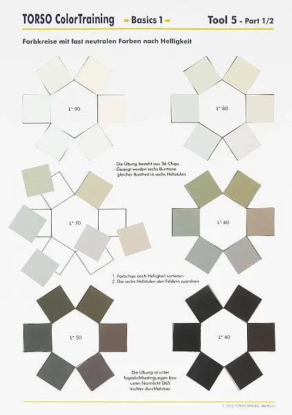 TORSO ColorTraining Basics1