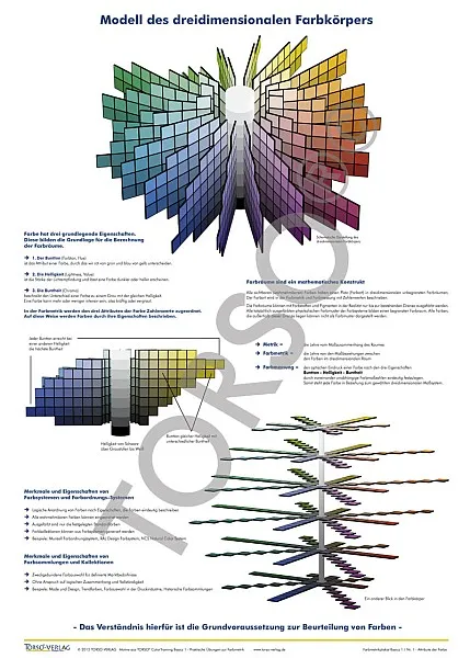 TORSO ColorimetryPoster Set