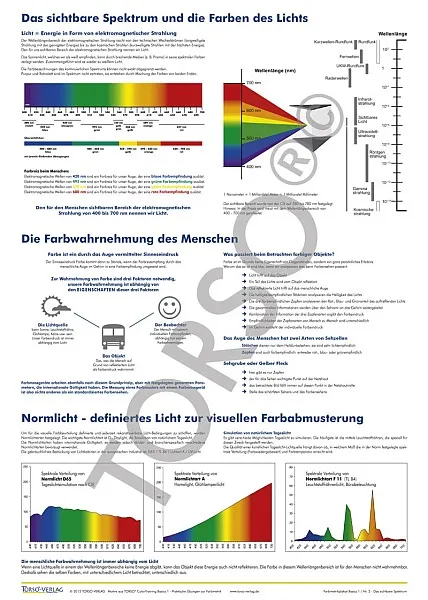 TORSO ColorimetryPoster Set