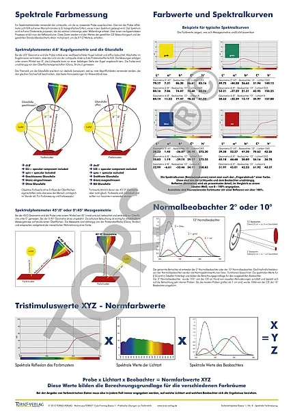 TORSO ColorimetryPoster Set