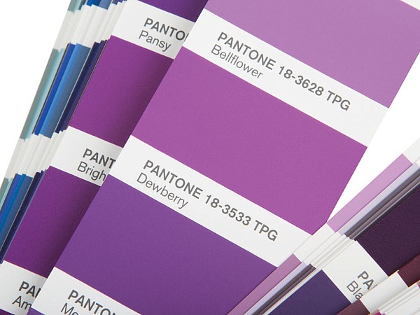 Color Guide Paper
