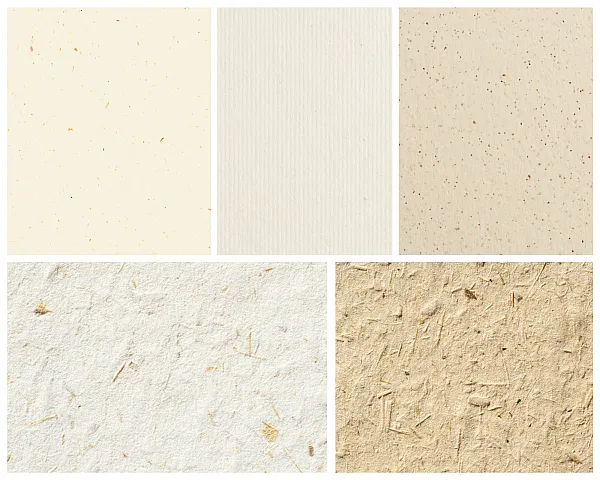 Gmund Musterset Beige