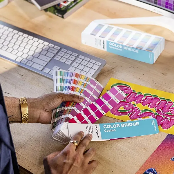 PANTONE ColorBridge coated