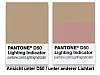 Pantone Lighting Indicator D50
