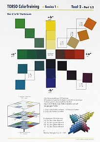 TORSO ColorTraining Basics1