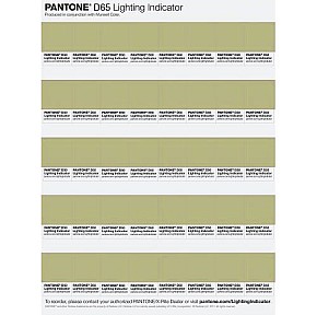 Pantone Lighting Indicator D65