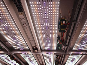 UnityColor LED-Deckenleuchte für Lichtstudios
