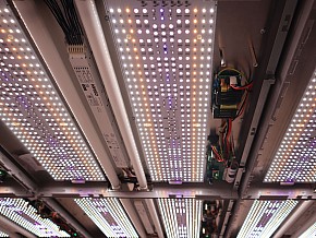UnityColor LED-Deckenleuchten/Lichtstudio